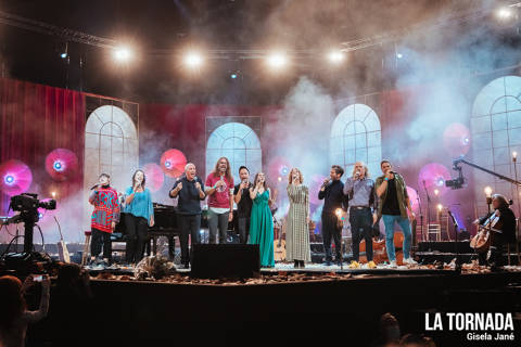 Lluís Llach al Palau Sant Jordi